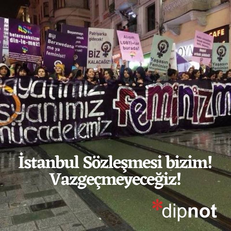 2014 ve sonrası Türkçede oluşan feminist literatüre giriş