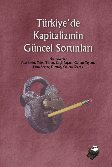 Türkiye'de Kapitalizmin Güncel Sorunları